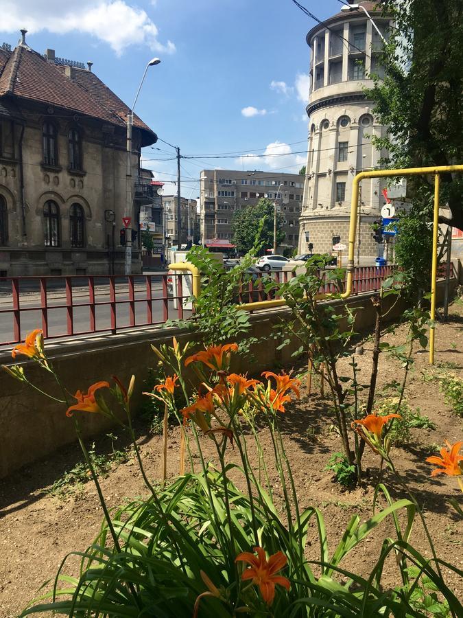 Martini Studio Lägenhet Bukarest Exteriör bild